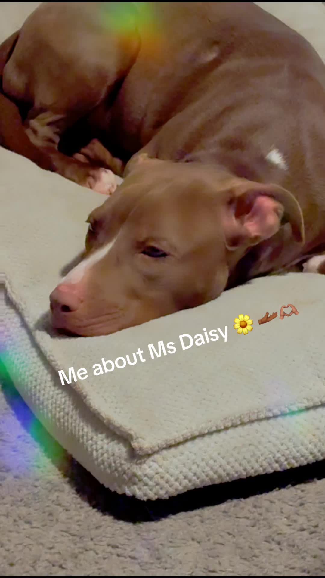 @ItsNeshiaNeshia