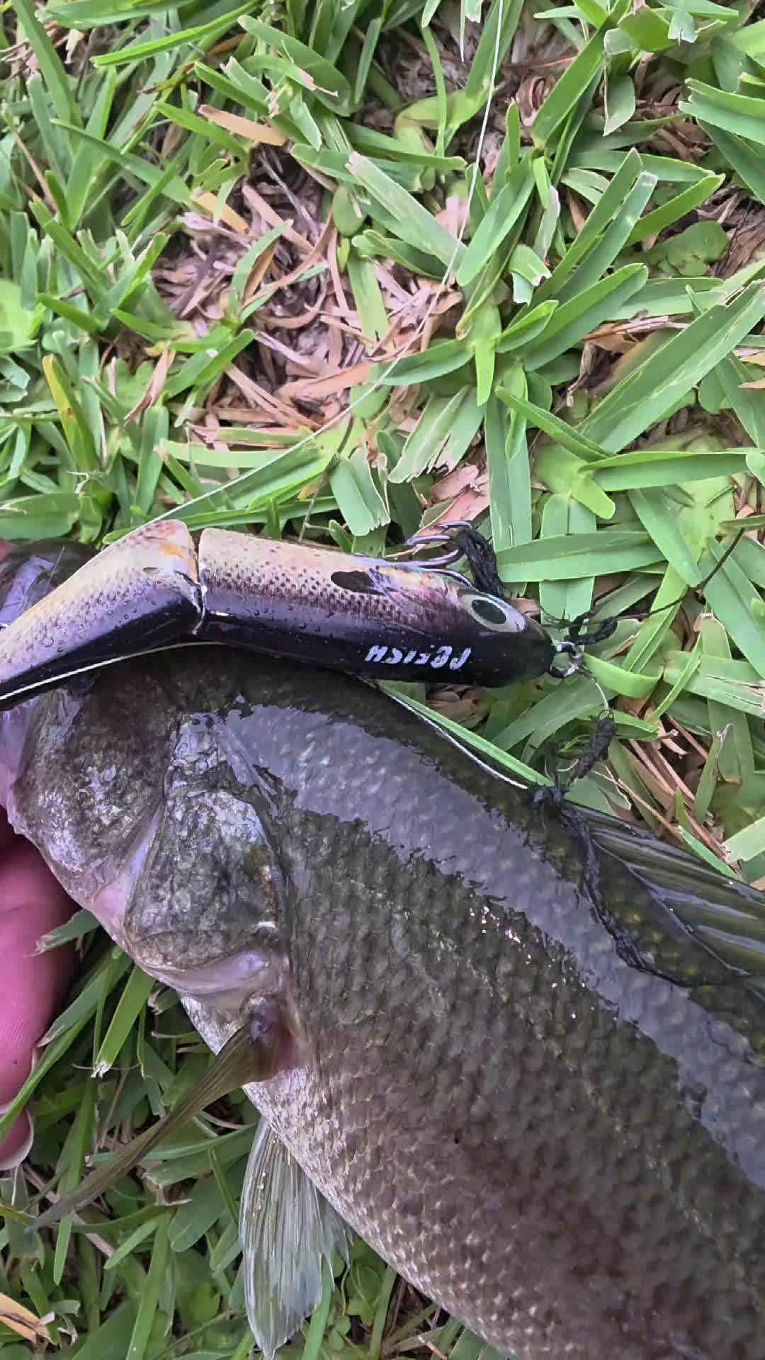@FishingwithJairo