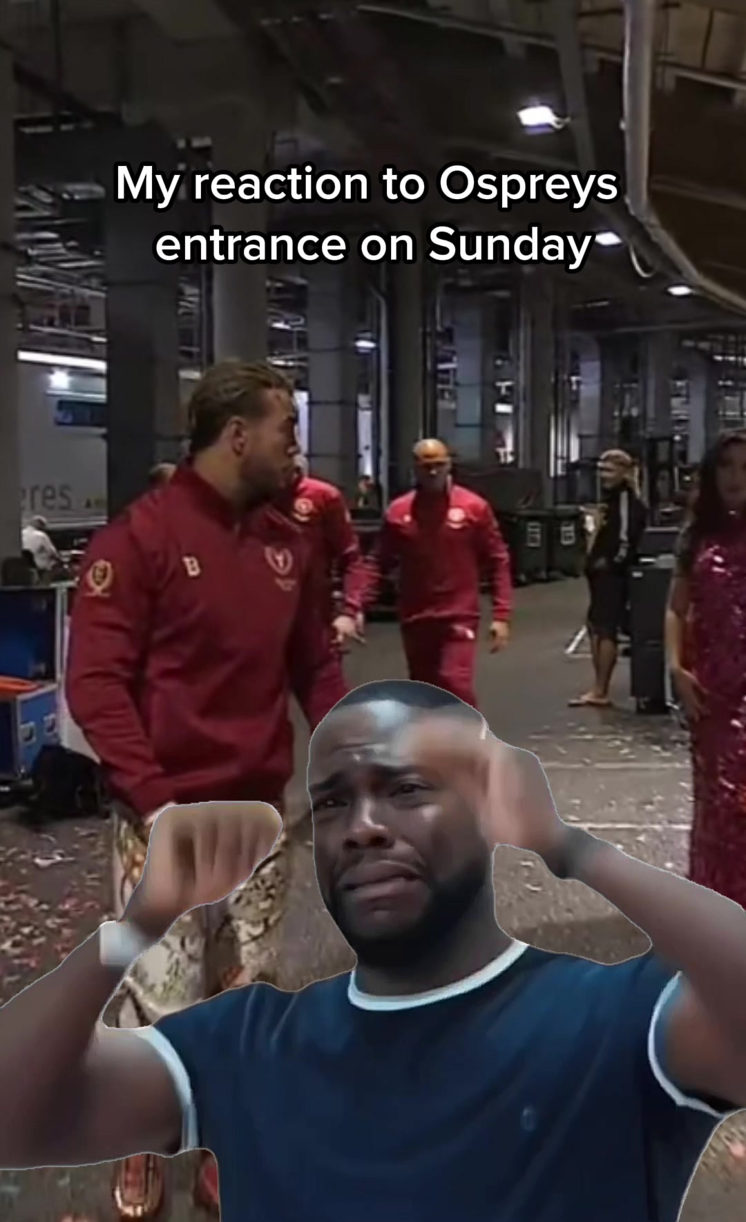 @The Ring Fanatics