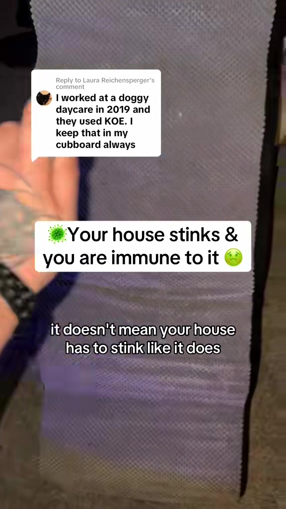 @kai•thedogmother🐾