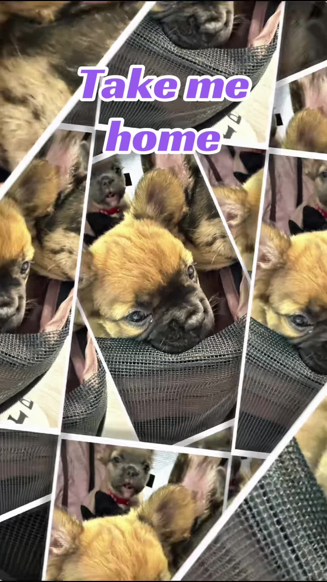 @VanFullOfNurses