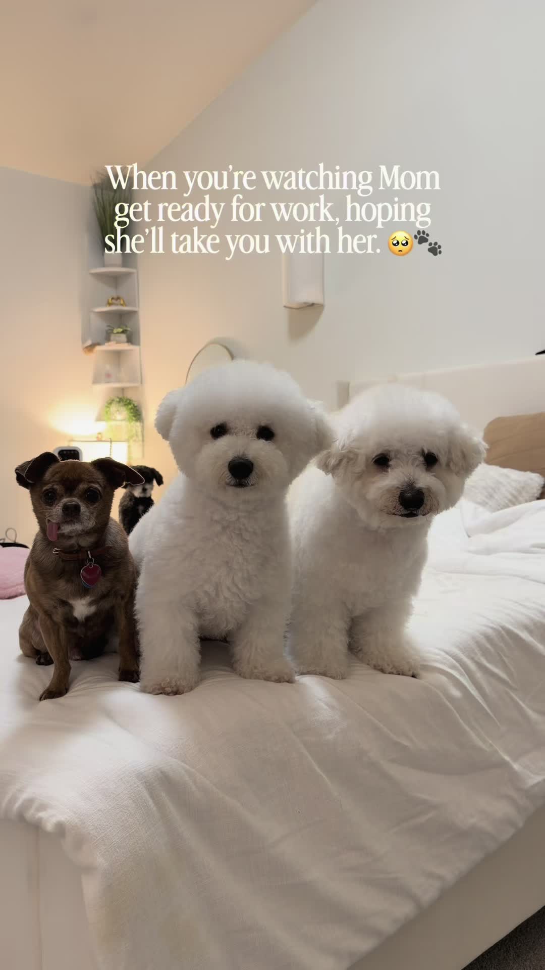 @sammy__and__gabby