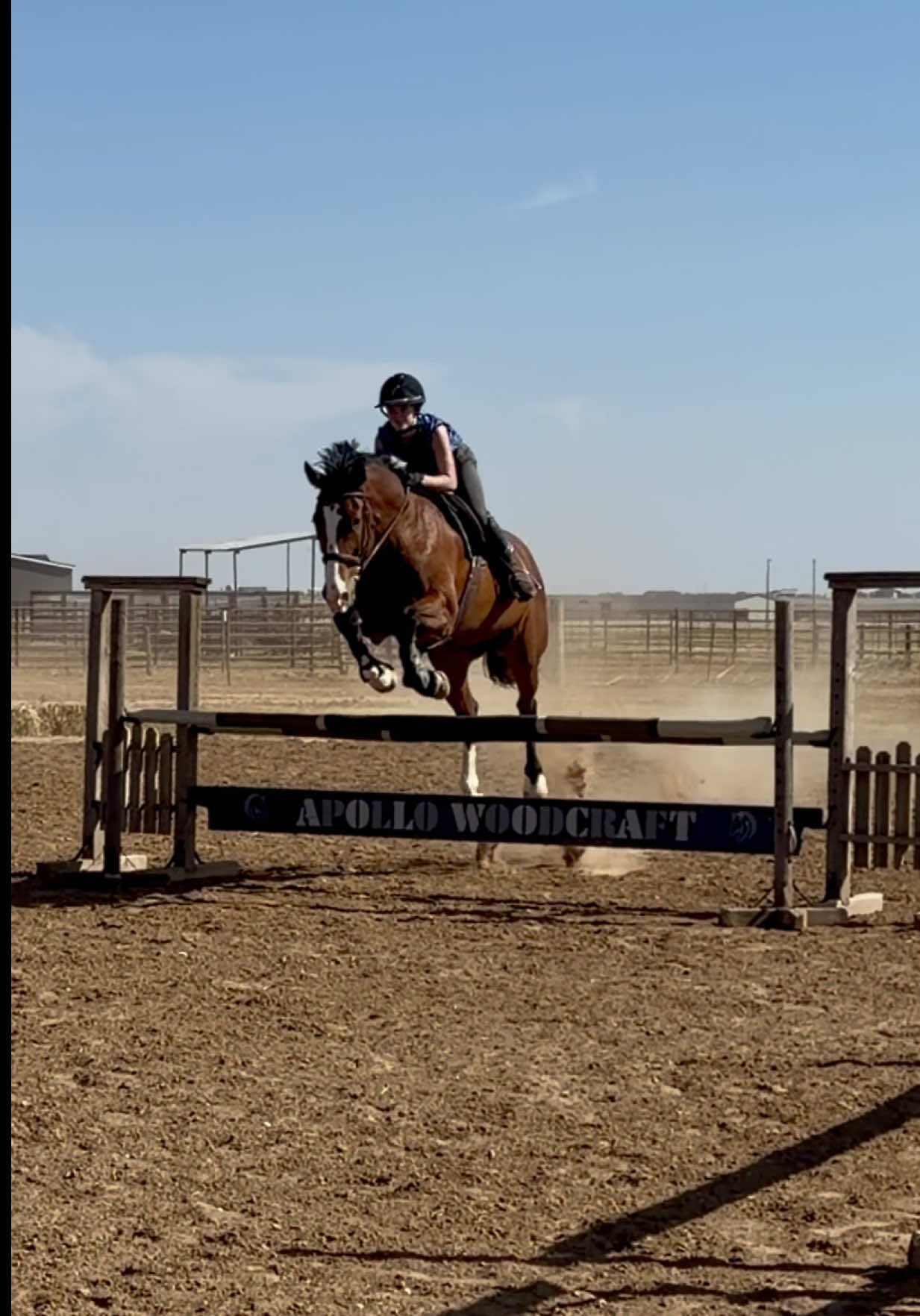 @Grace Equestrian TX
