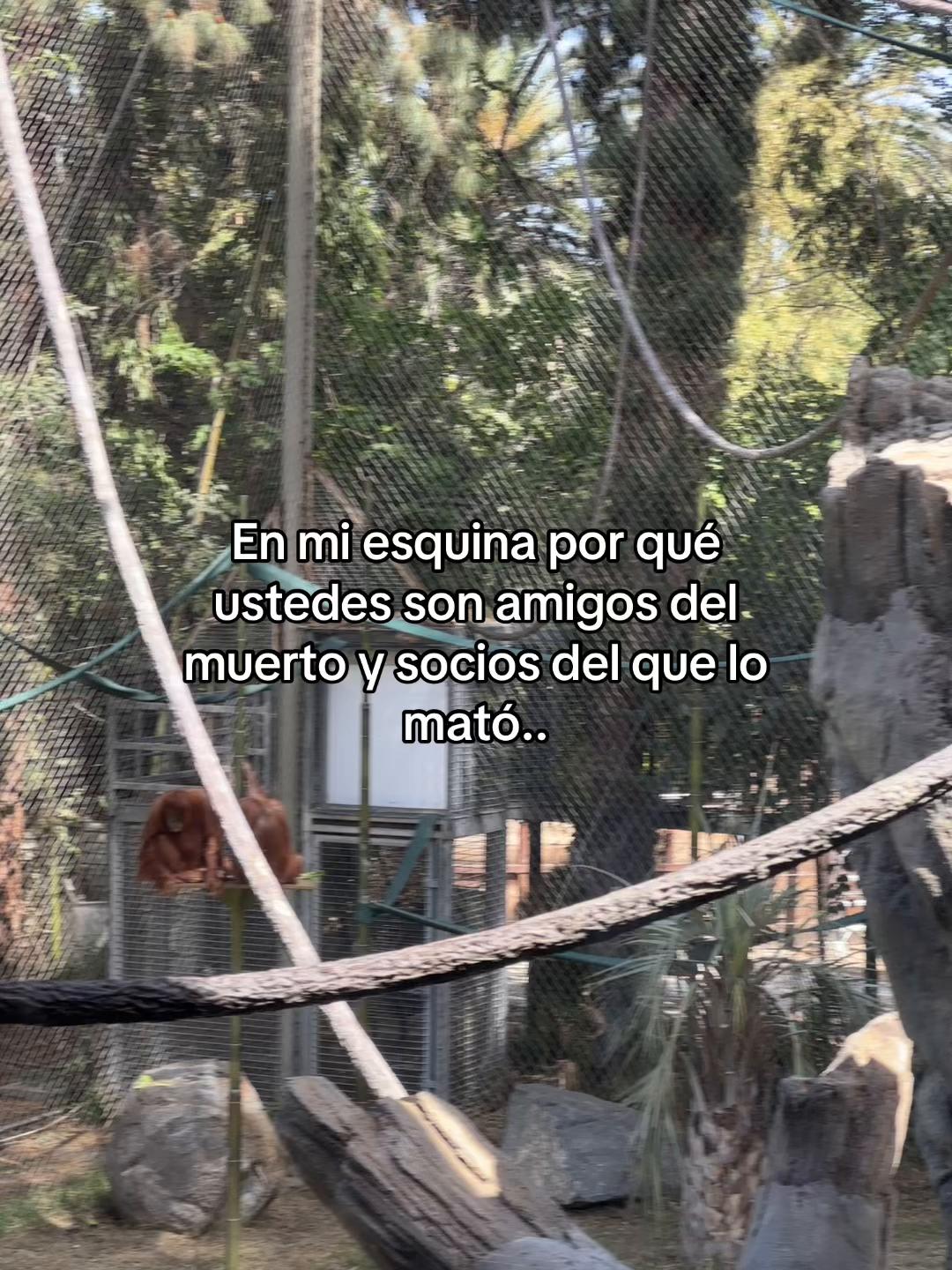 @Alex89