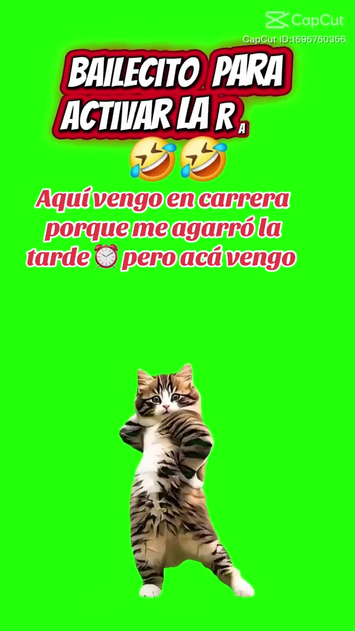 @🦁🐓𝐒𝐚𝐧𝐝𝐫𝐲 🦅🐬🧢🧚🏼&zwj;♀️