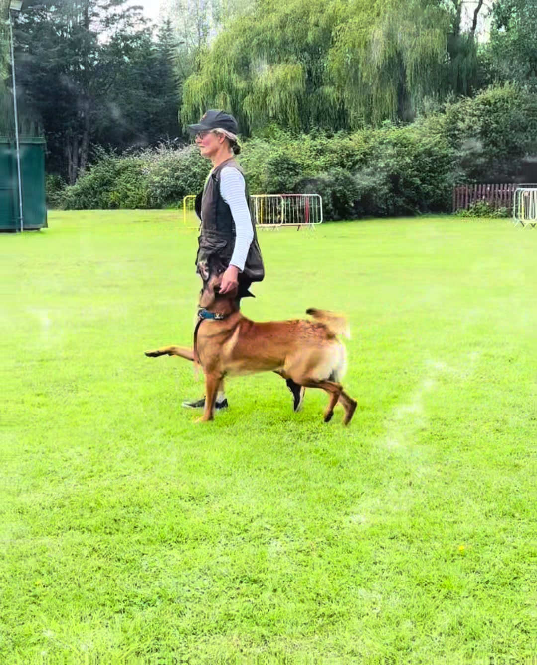 @thedogsportscoach