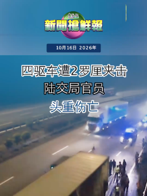 @中国报