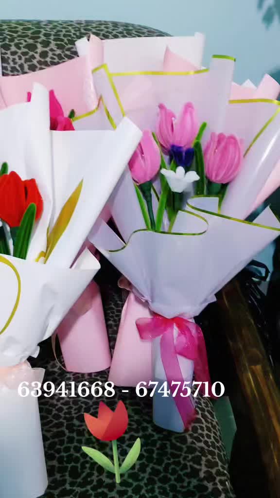 @veronica febrero