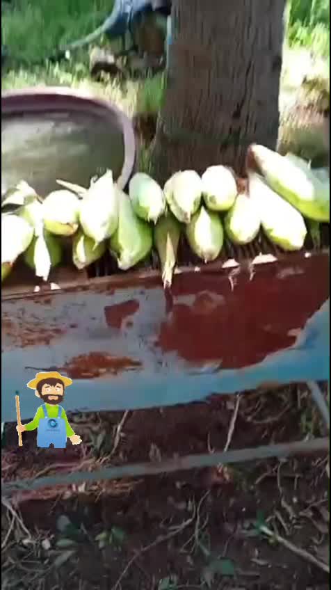 @esaul a