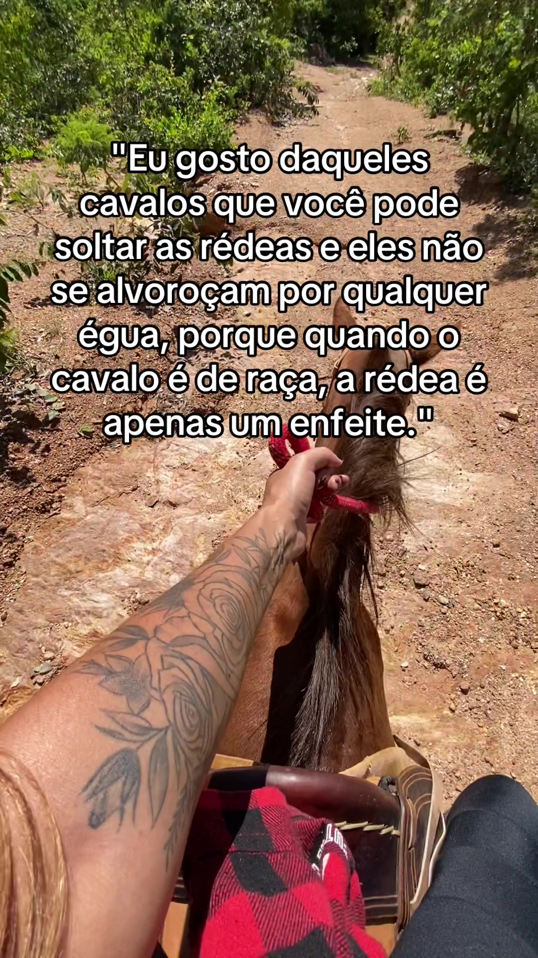 @Jaqueline Alarcão