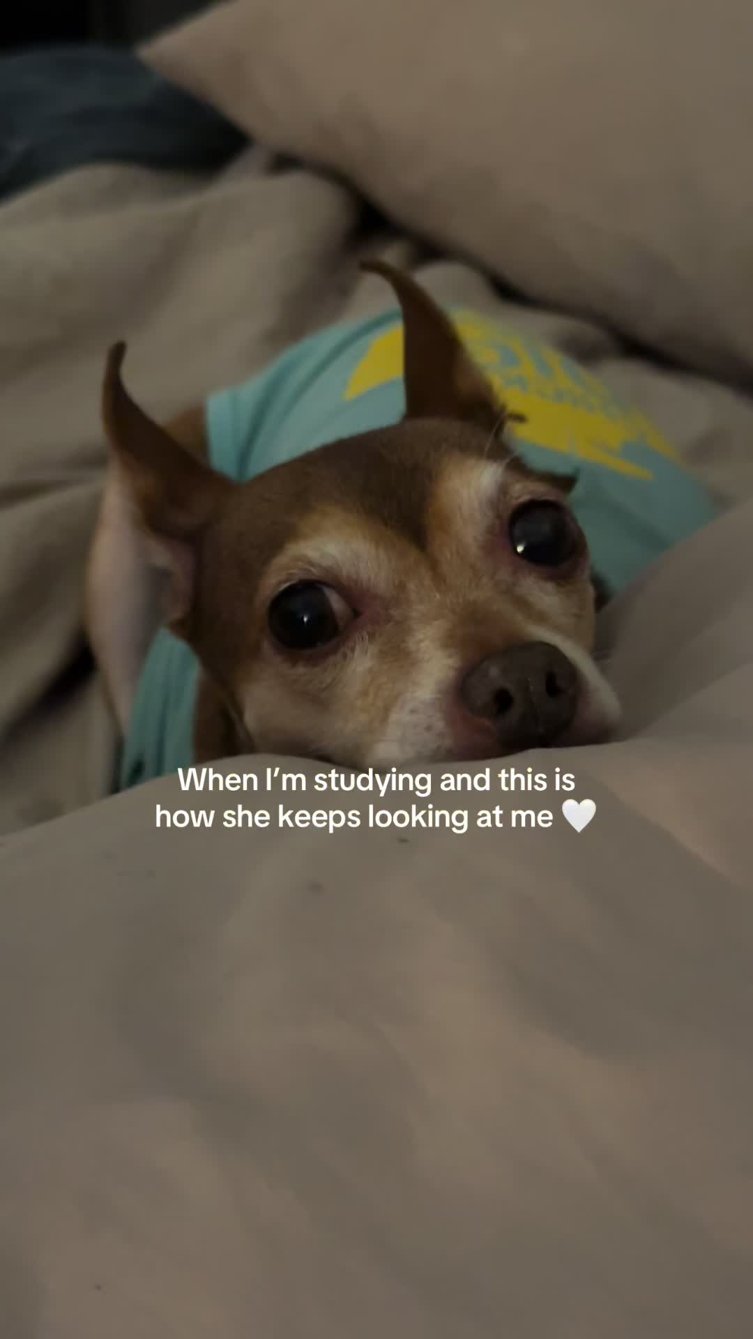 @MsParisRene