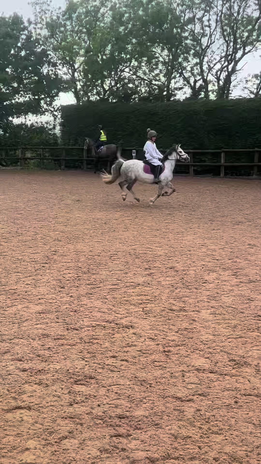 @poppy🐴 🇬🇧