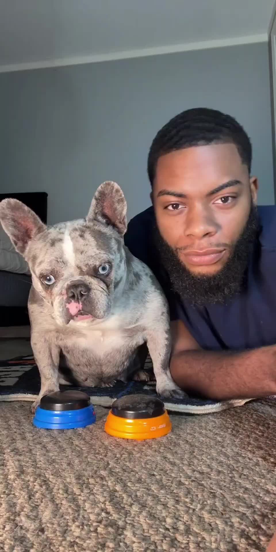 @Lifewithmark
