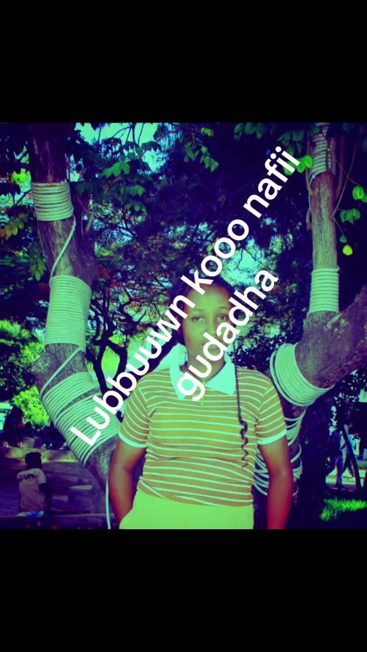 @Tirunesh Guda