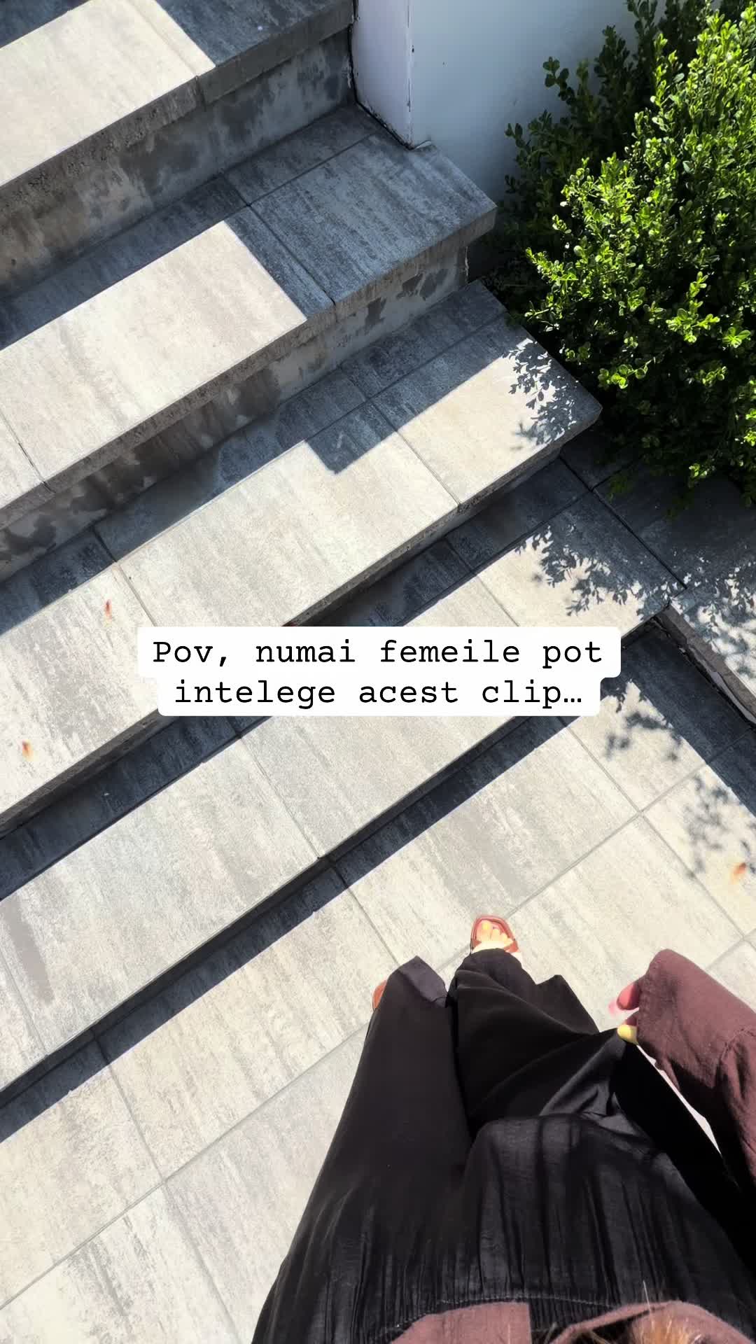 @IoannaBsy