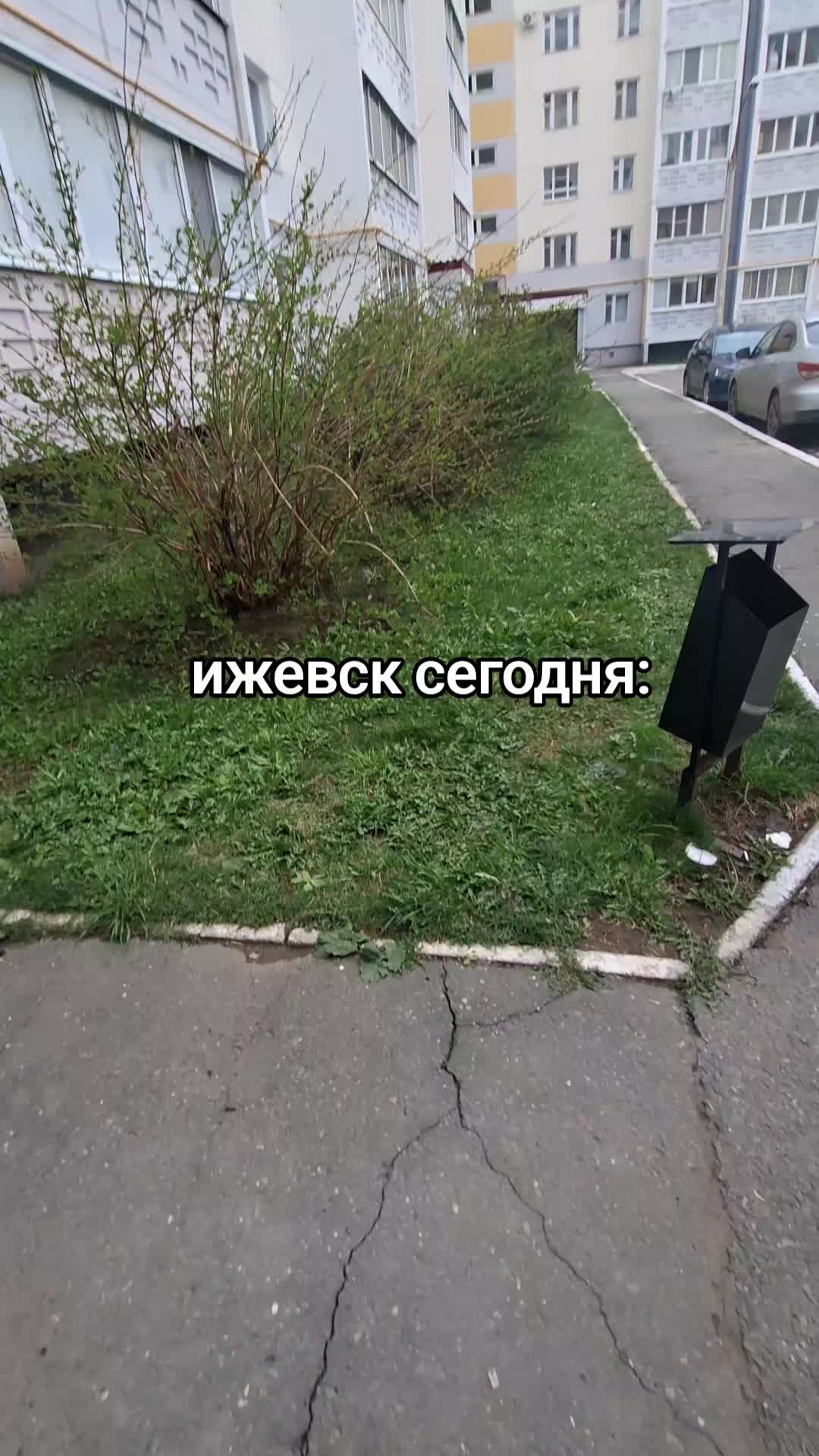 @★olуа★