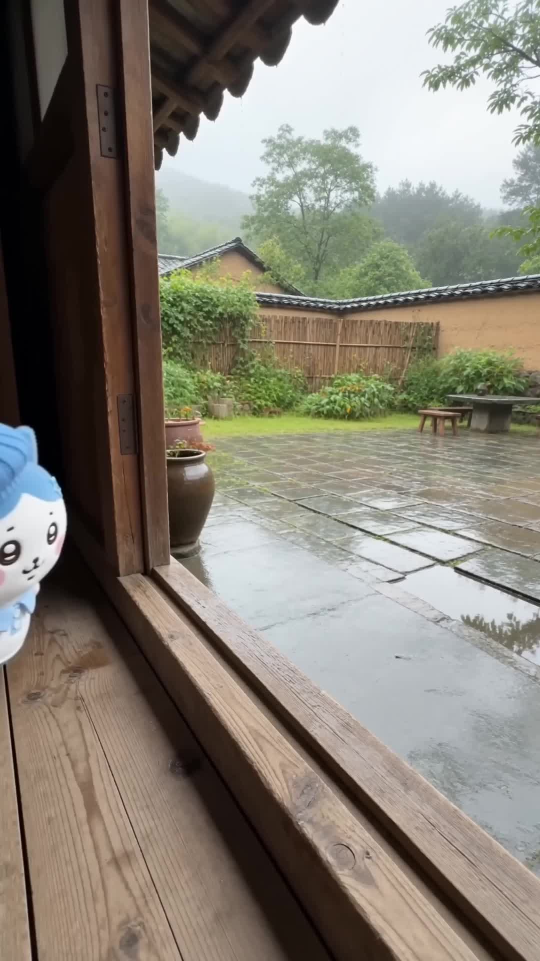 @ハチワレ にゃん