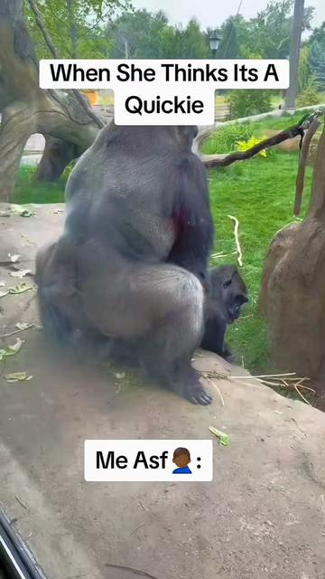 @๐ Mr. Charles_1969 โ๏ธ