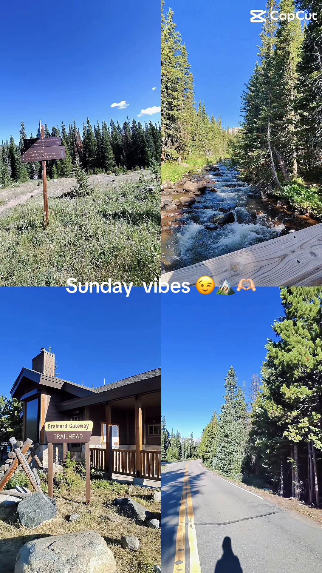 @MyLs22