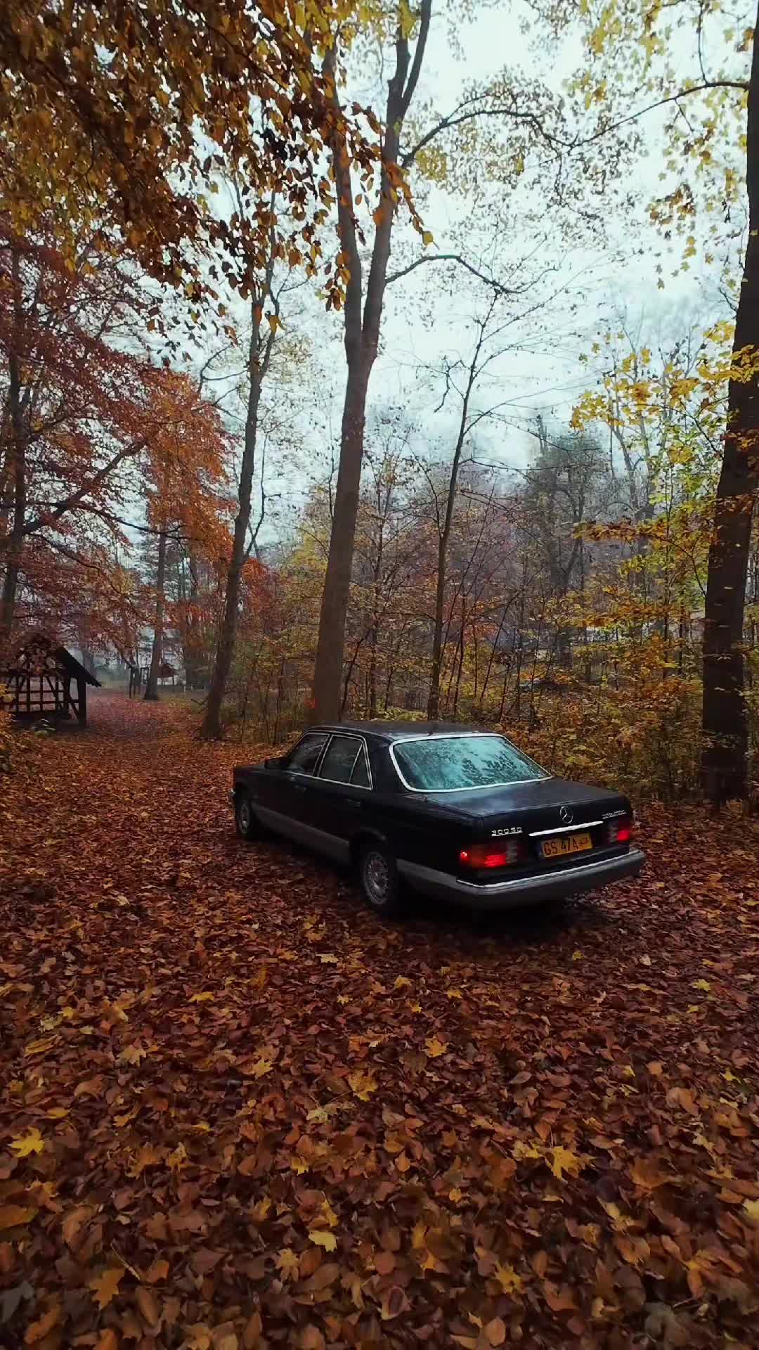@greatcars_ad
