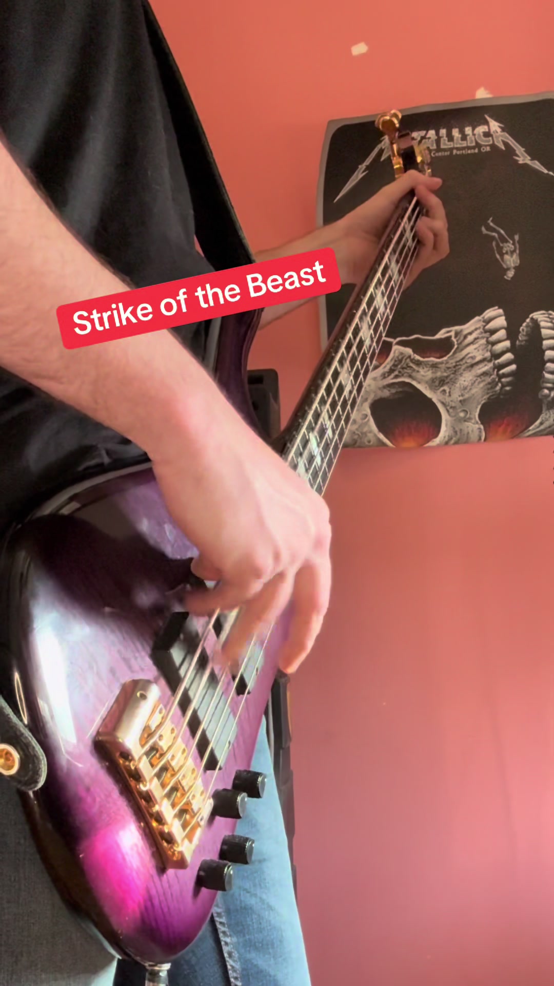 @Bass Player
