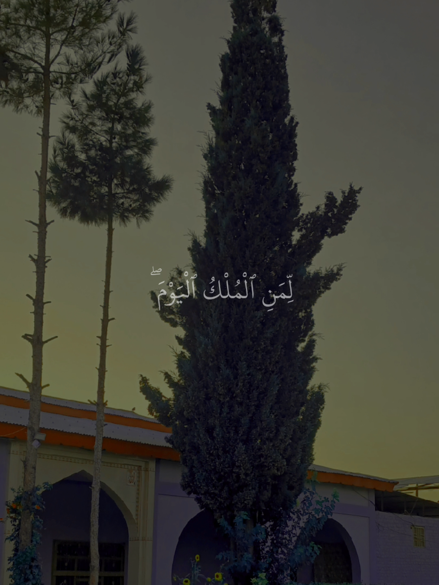 @𝚀 𝚄 𝚁 𝙰 𝙽 ✪
