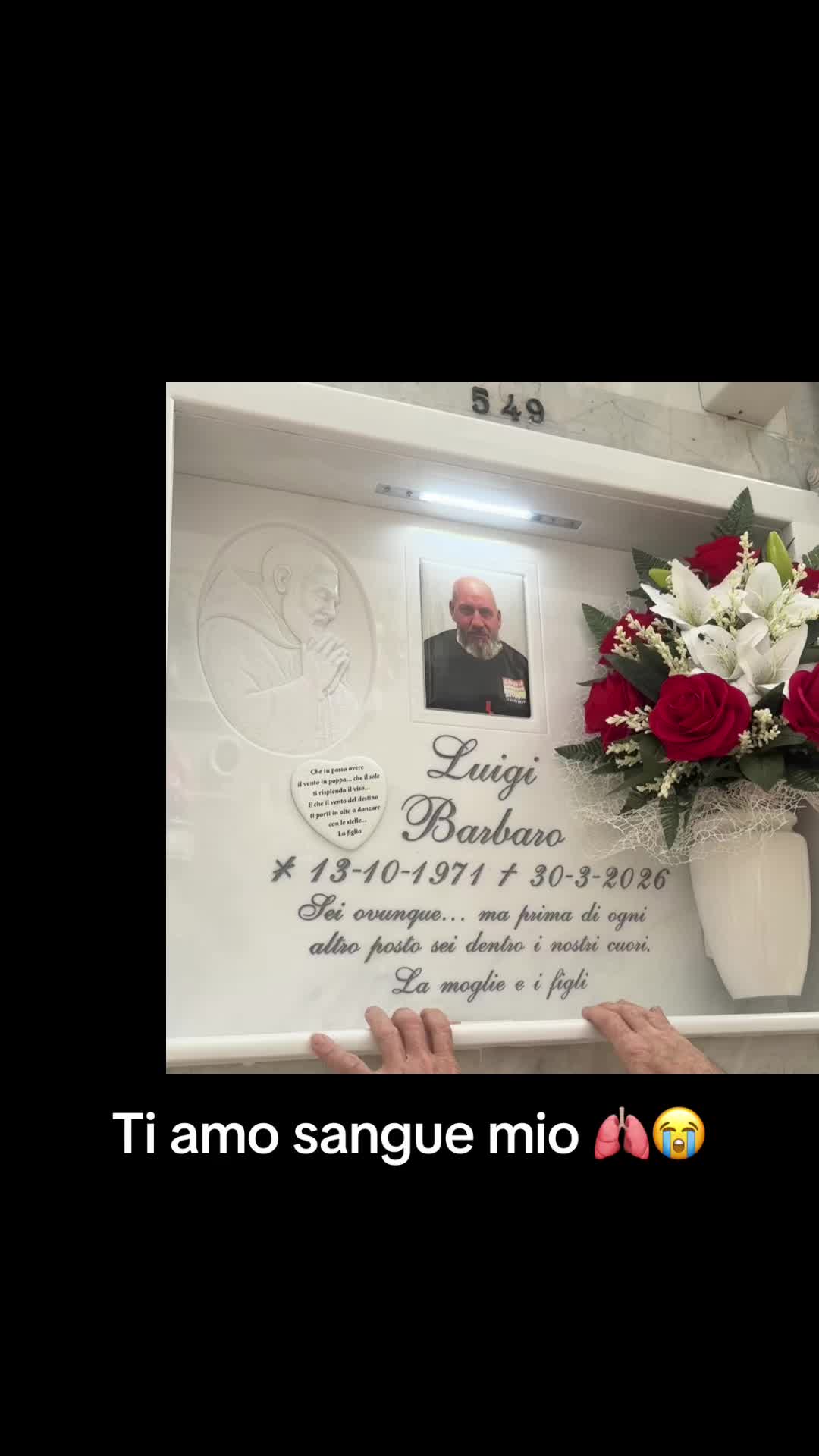 @sharonbarbaro