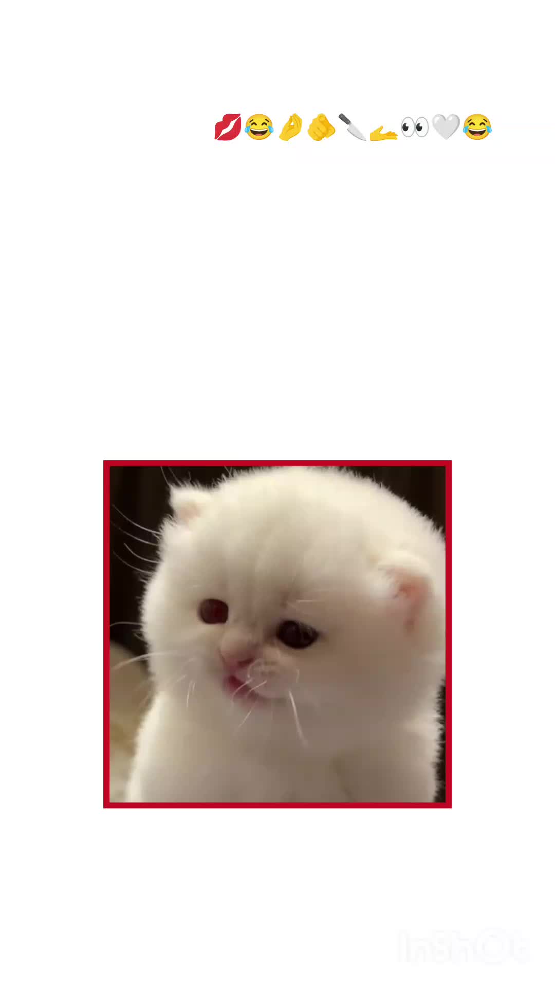 @Sawu Jaan ๐น