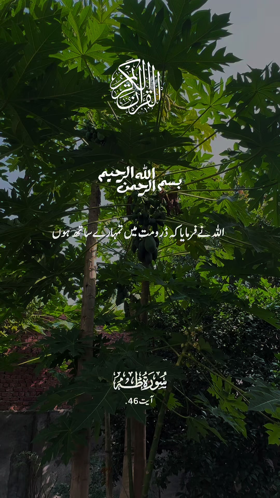 @maqrafiq