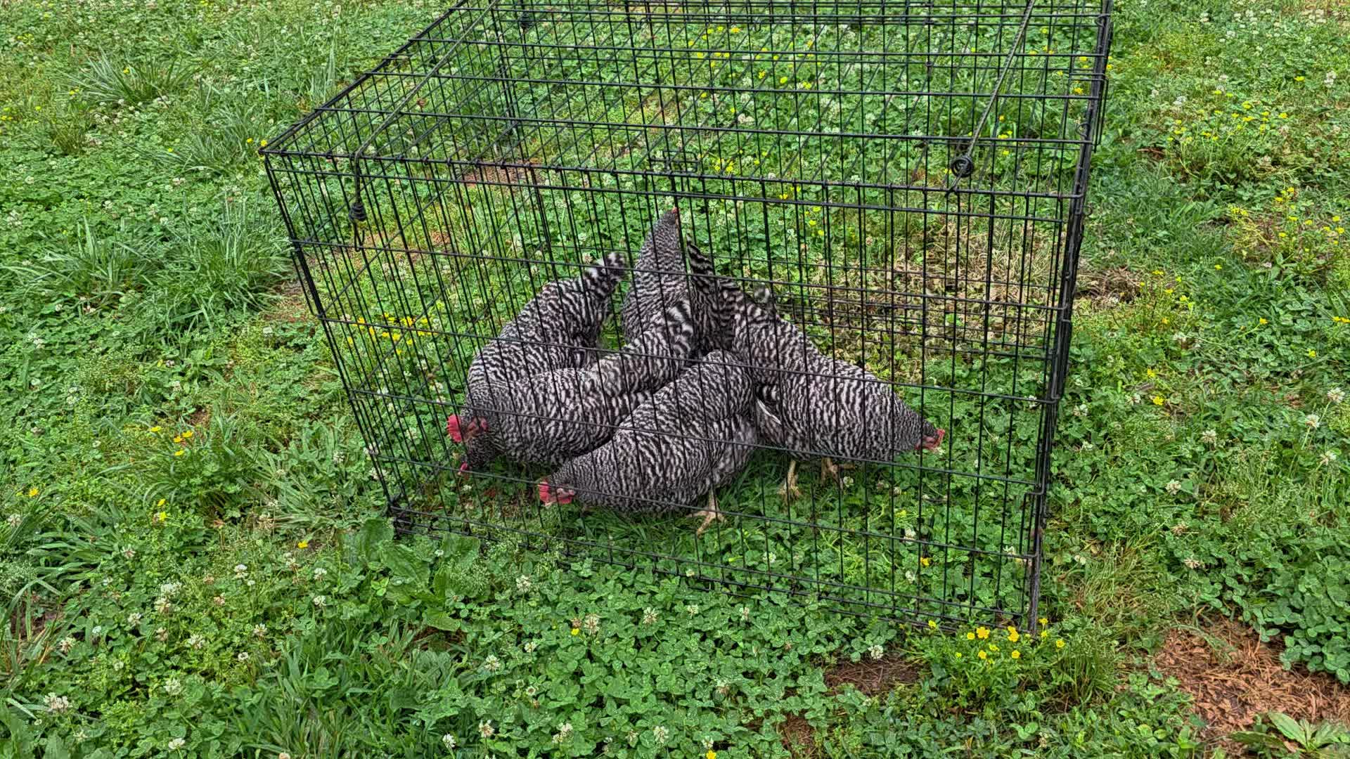 @JMFARMS123