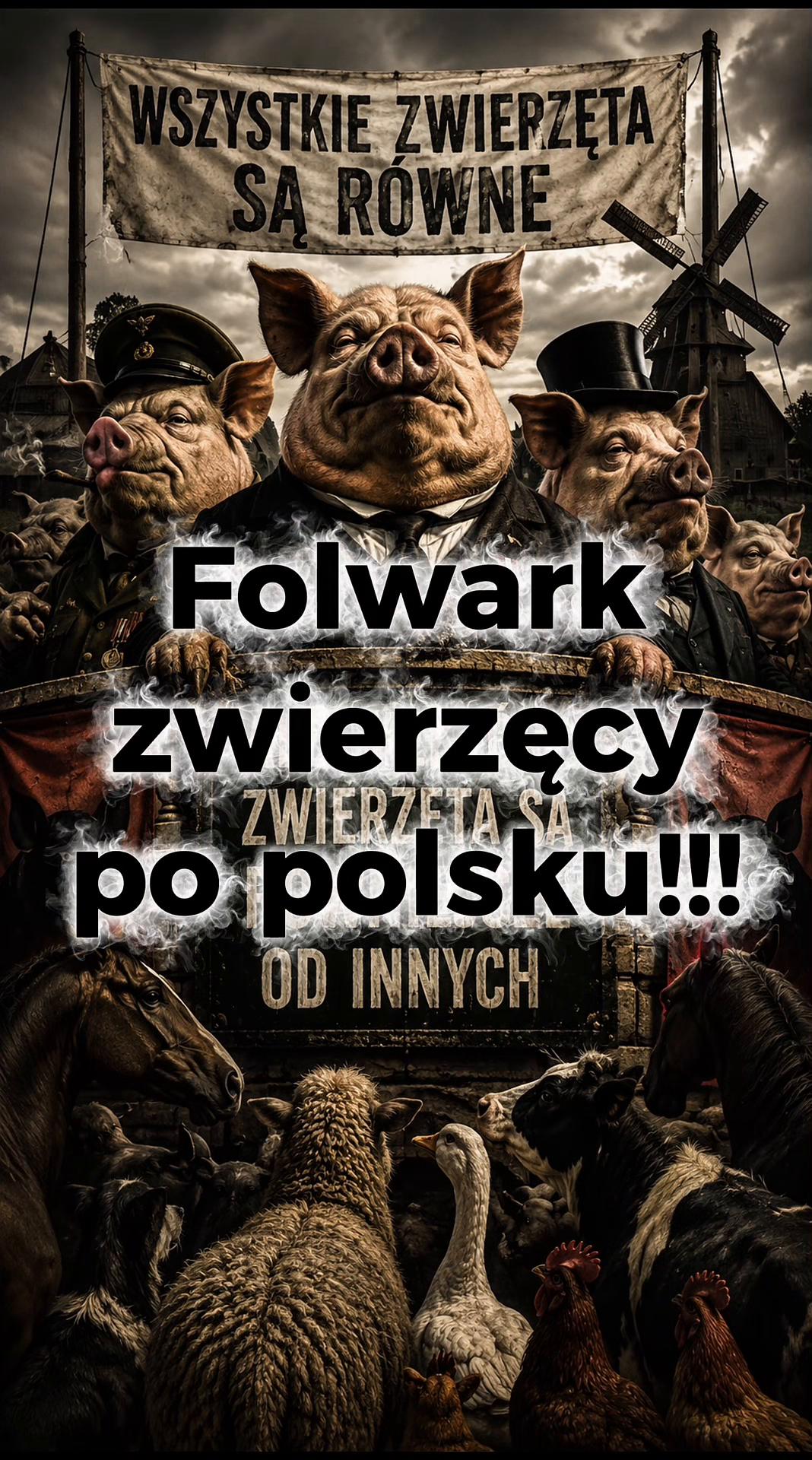 @Arkadiusz Stefaniszyn Short