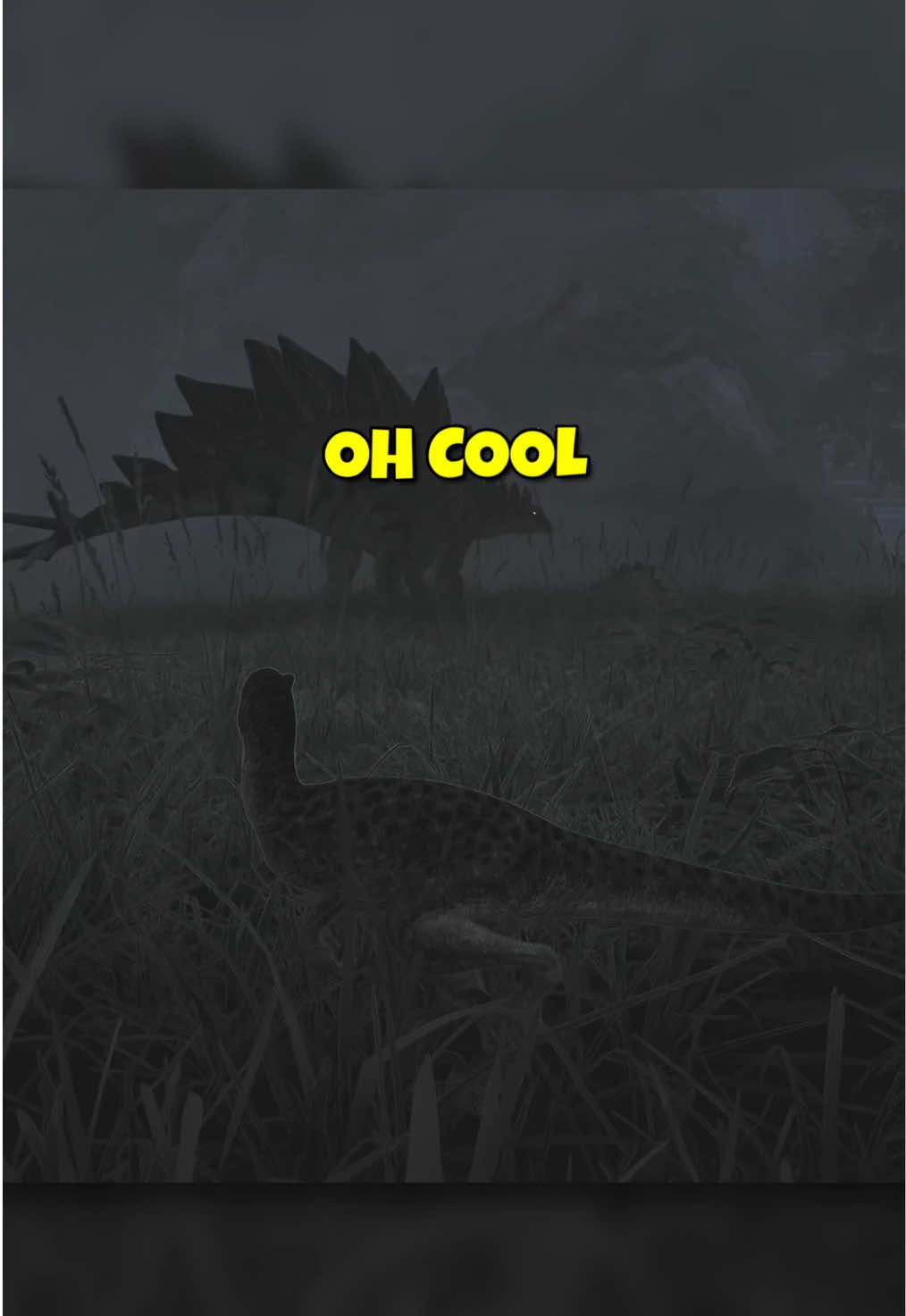 @MrGibbon