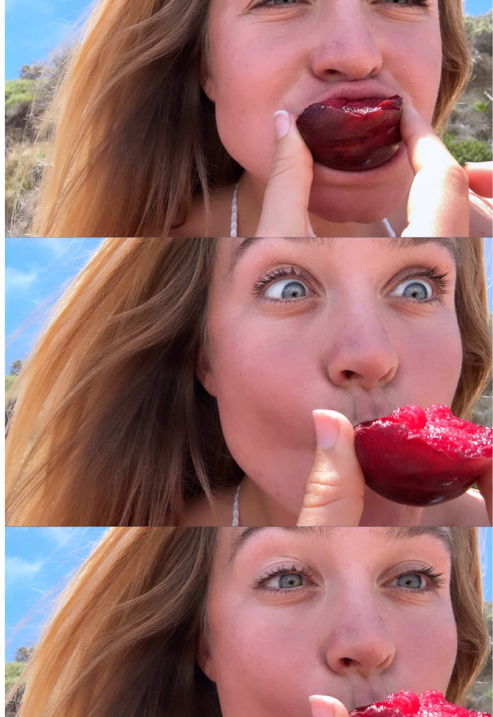 @graciedolman