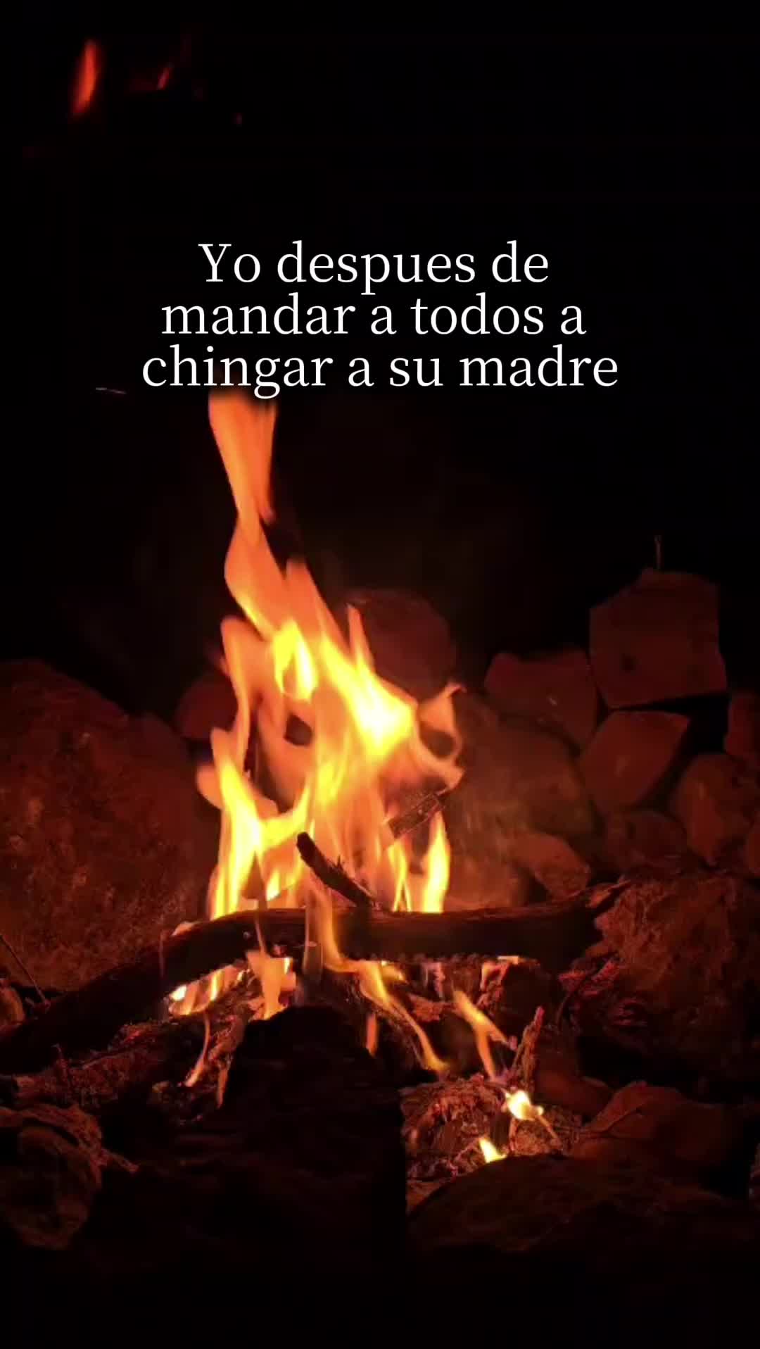 @nenaa.
