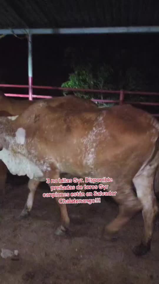 @Rancho Lopez Lopez