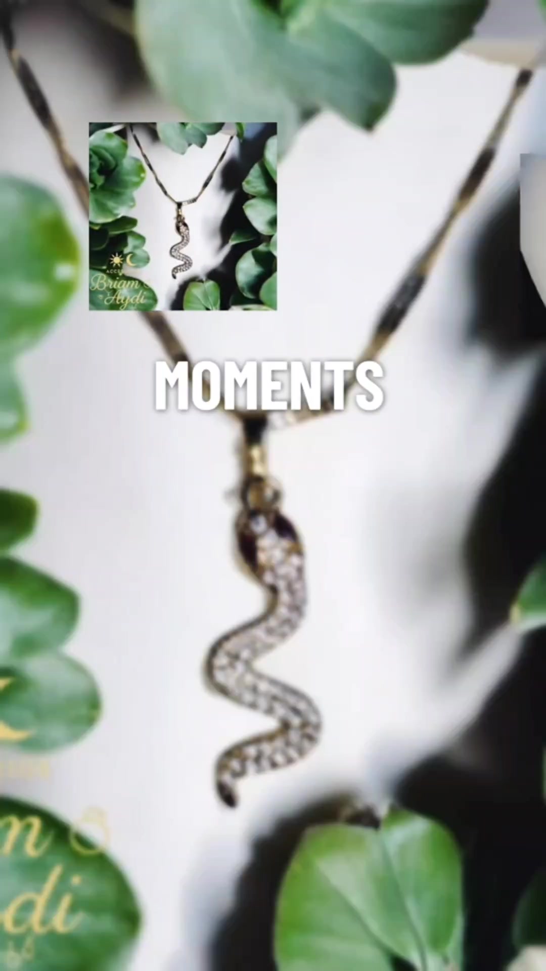@Accesorios Briam Aydi