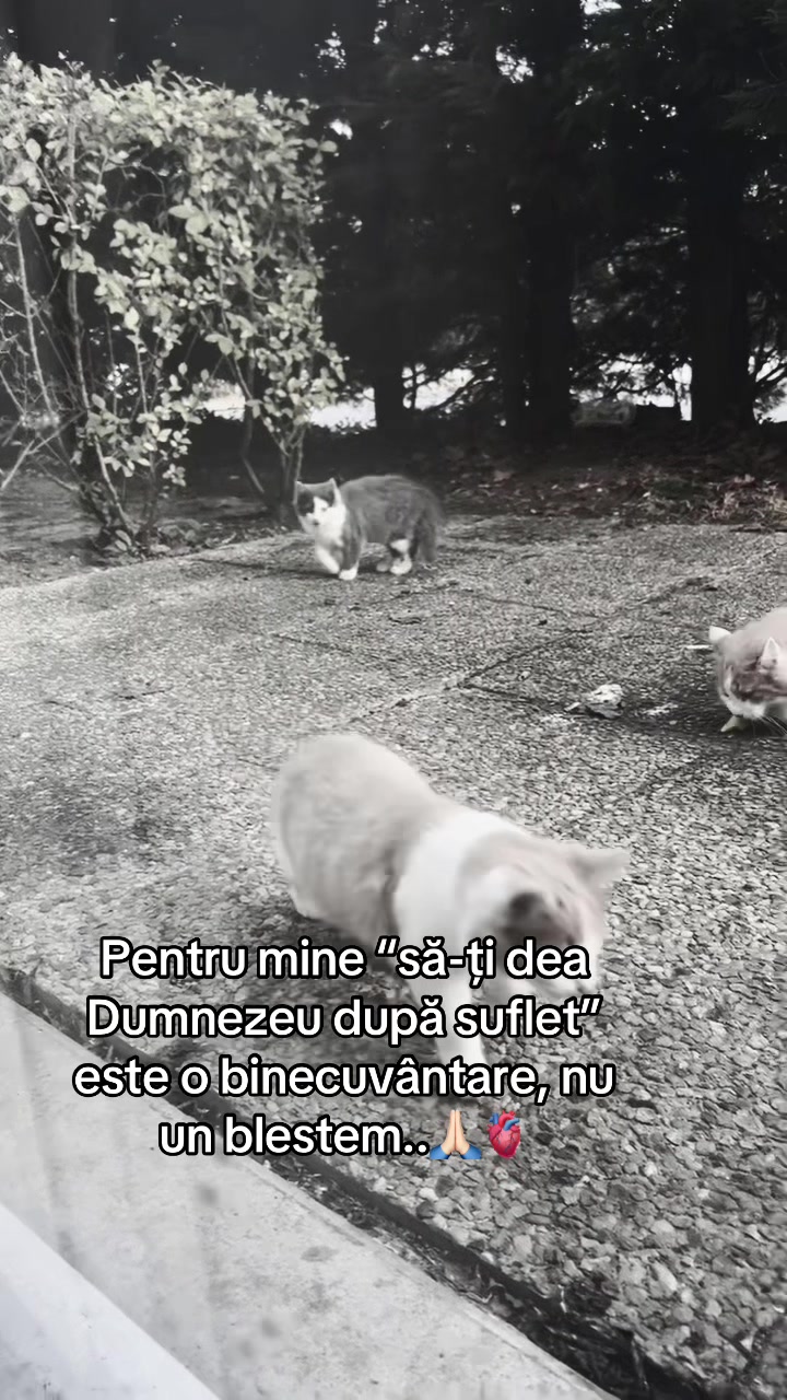 @𝒟ᥱꪀĩຮᤂ💙