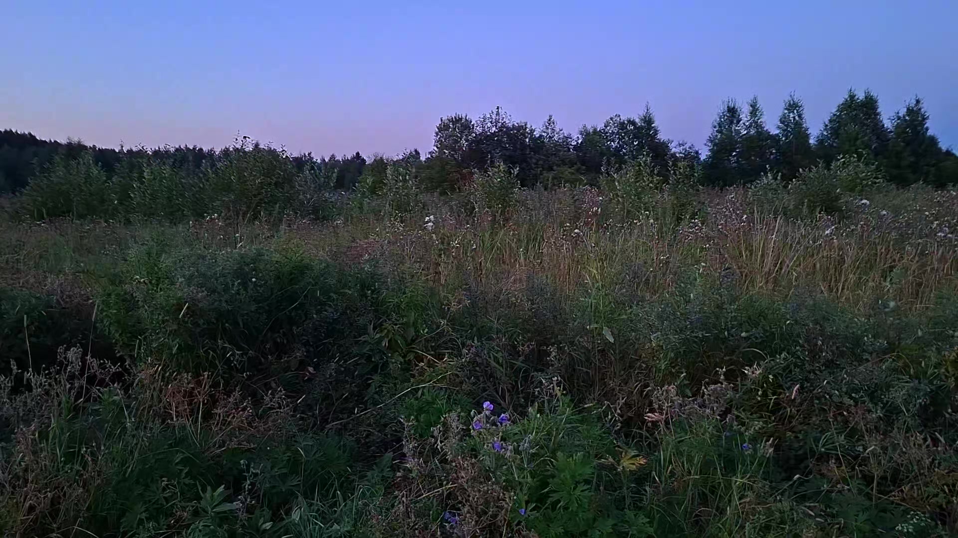 @𝘄𝗲𝗿𝘂𝗹𝗮𝘀𝗲𝗻