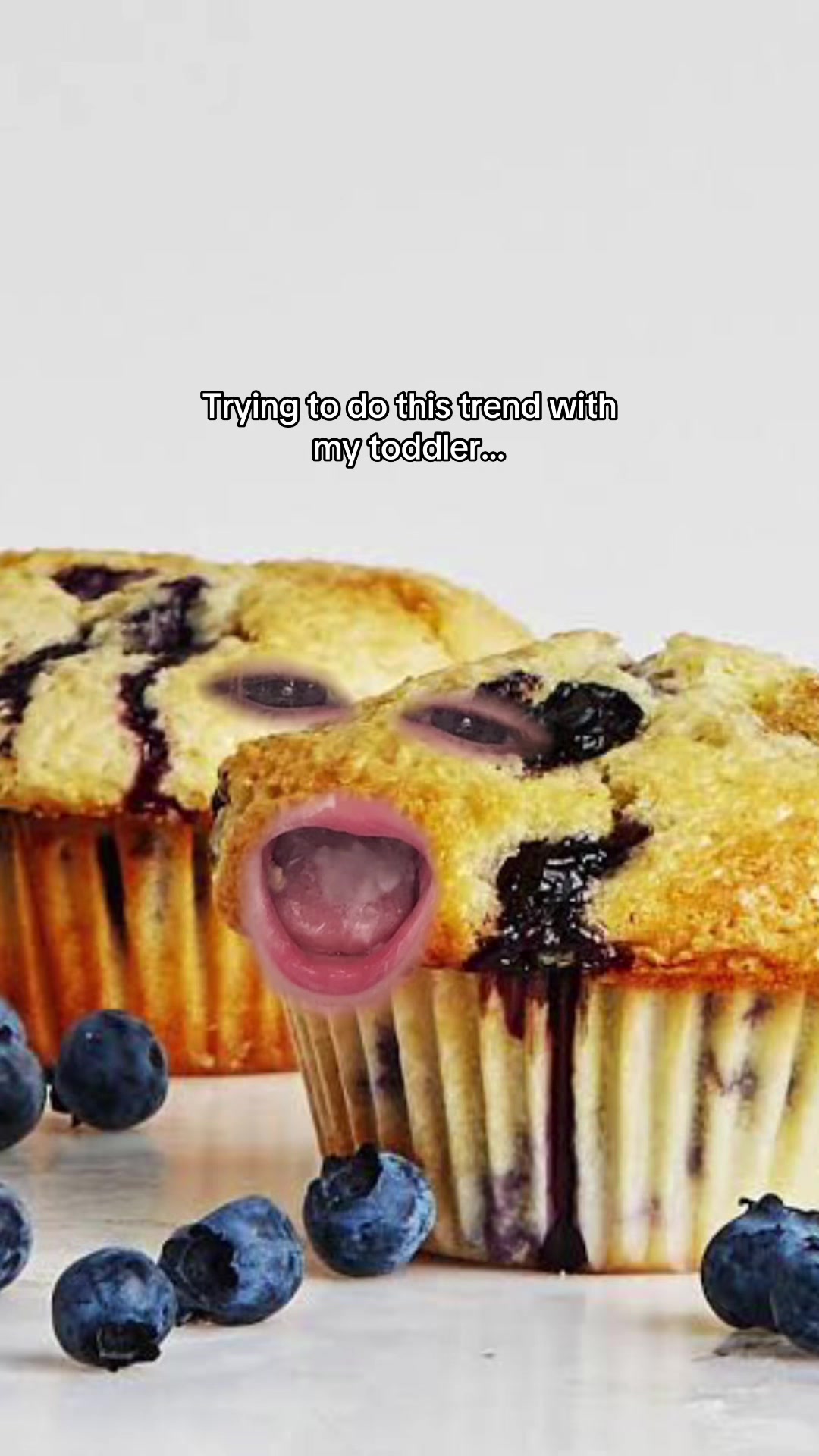 @kristina_modares