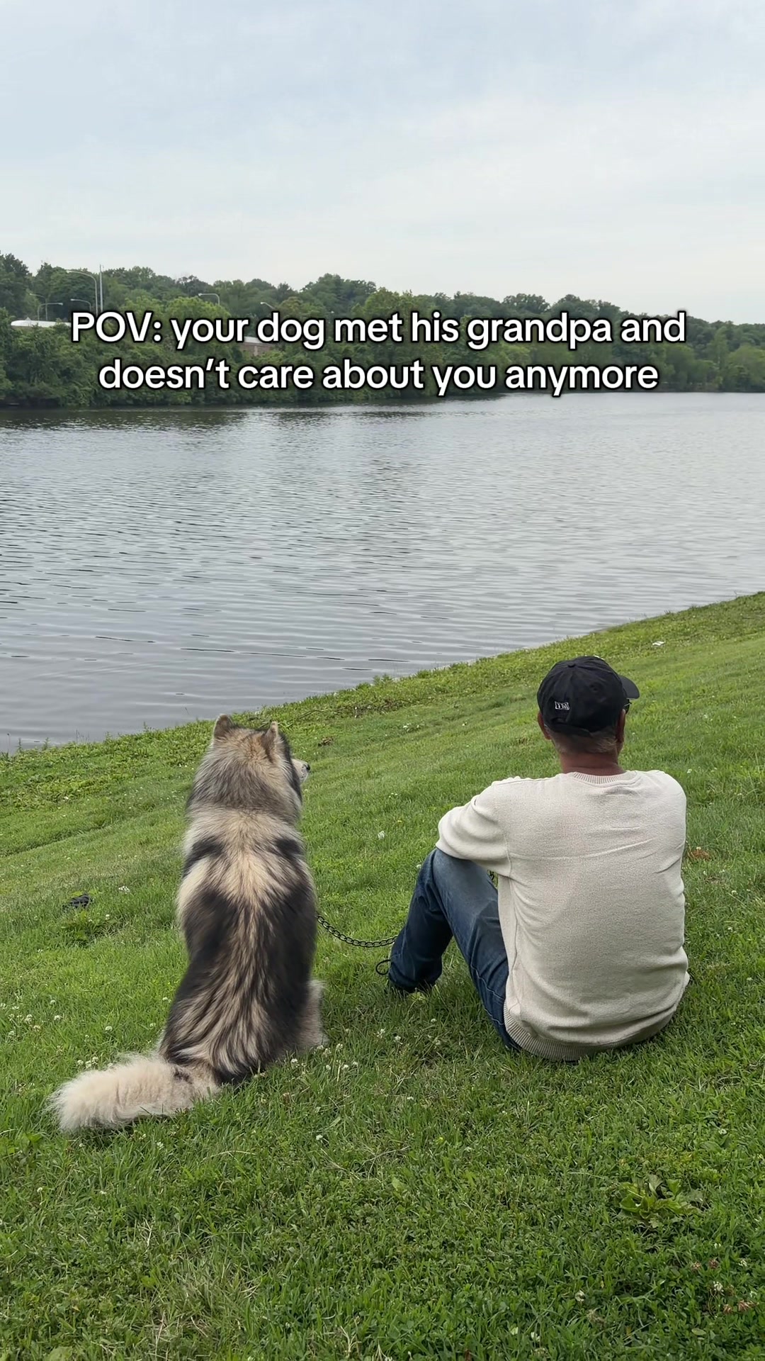@Echo The Husky