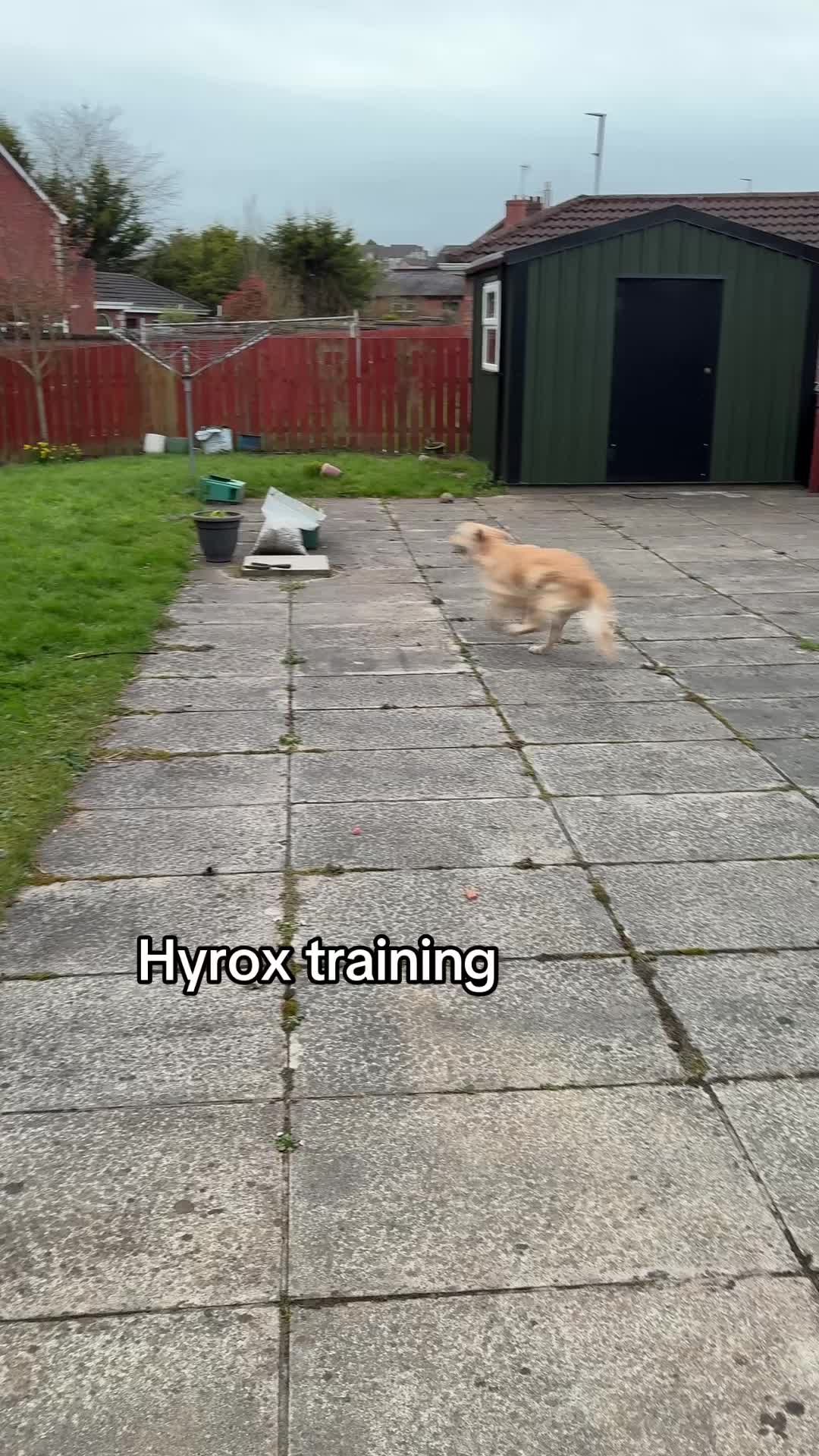@leanwithlenagh