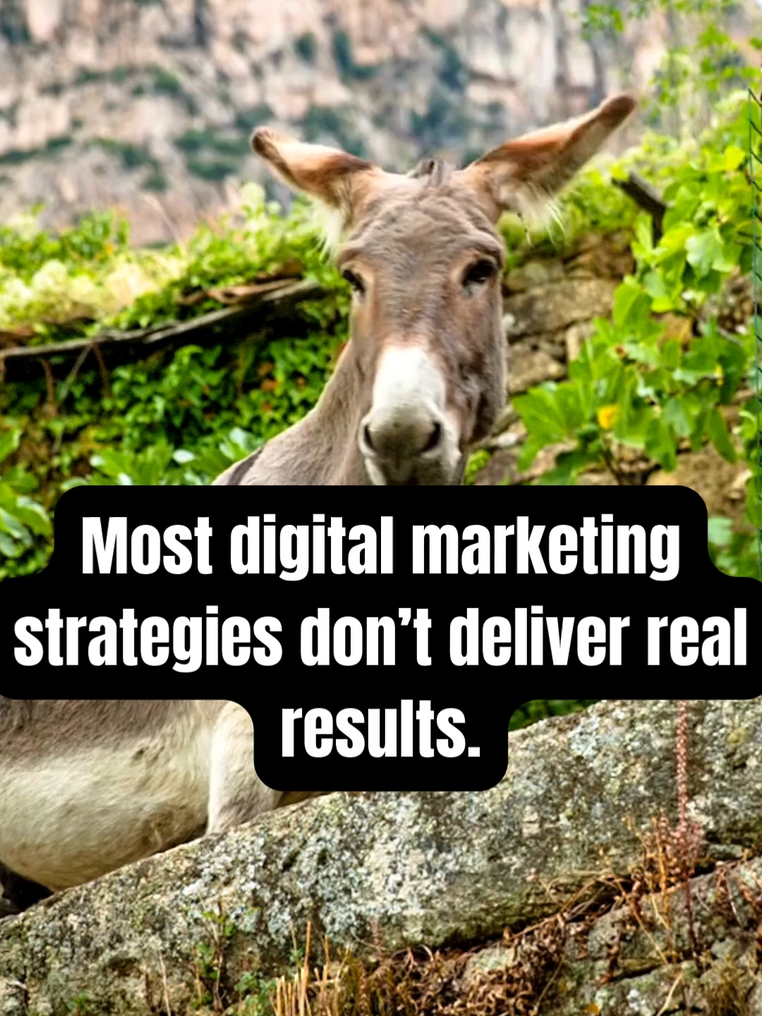 @Digital Marketing Pros ✨