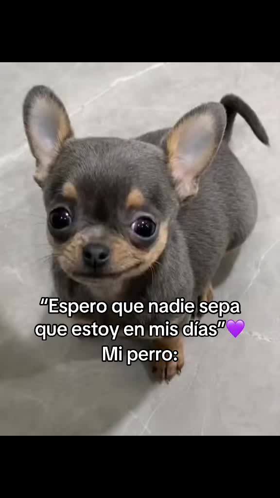 @acho.pij0
