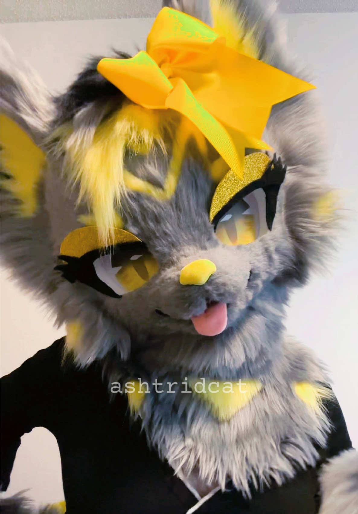 @AshtridCat
