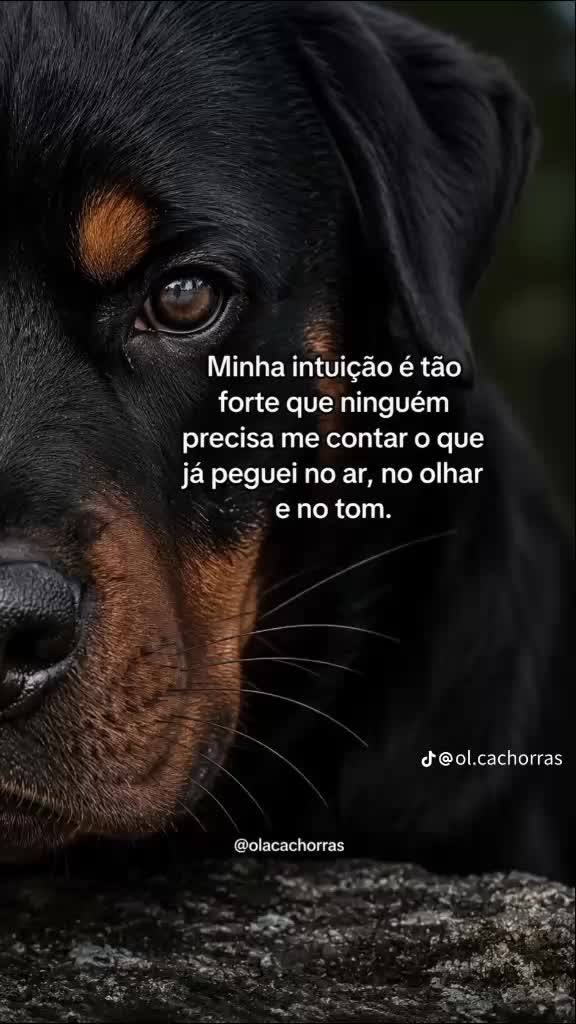 @@Ritacarvalho220