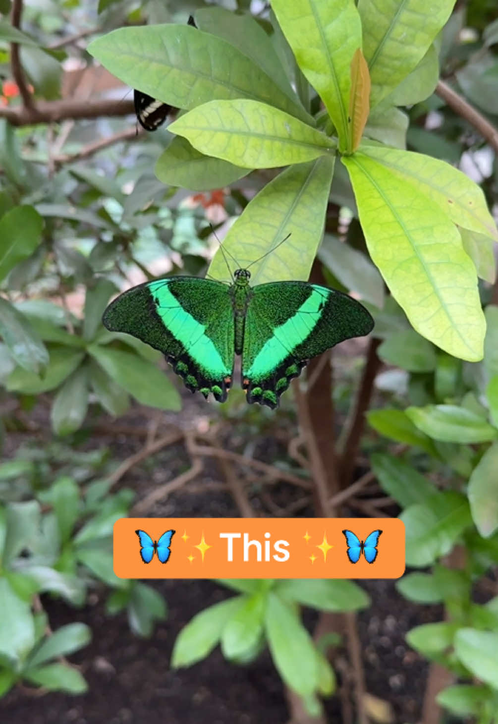 @Biosphäre Potsdam