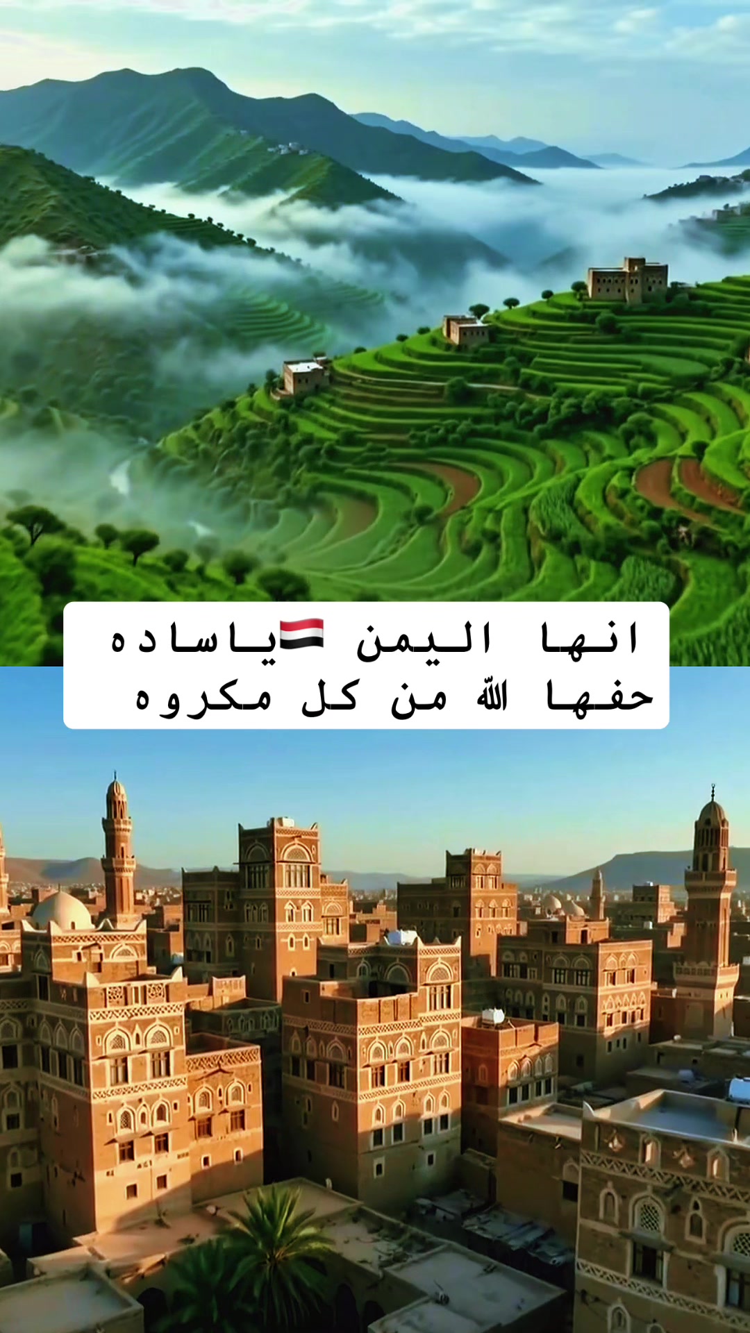 @مالك سيف