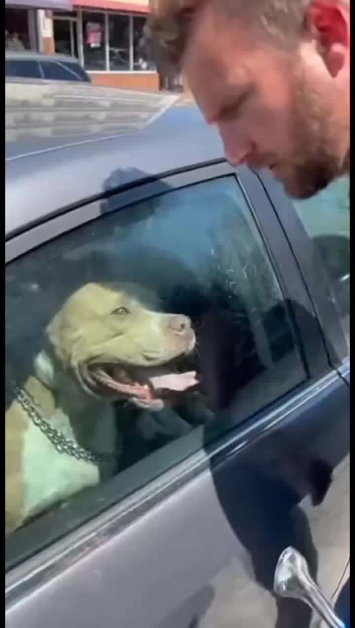 @animalslife2026