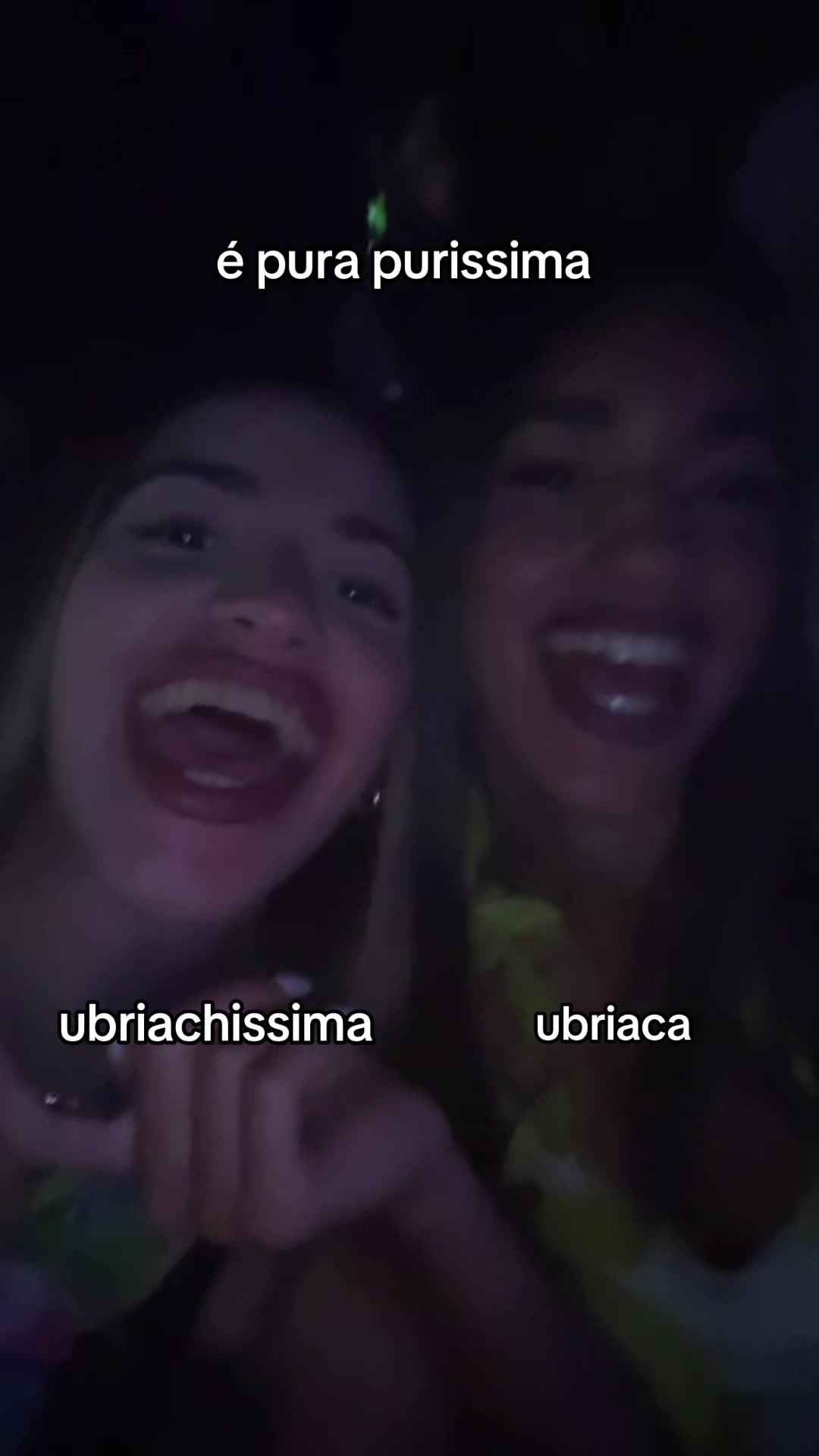 @labiondaelamora08_