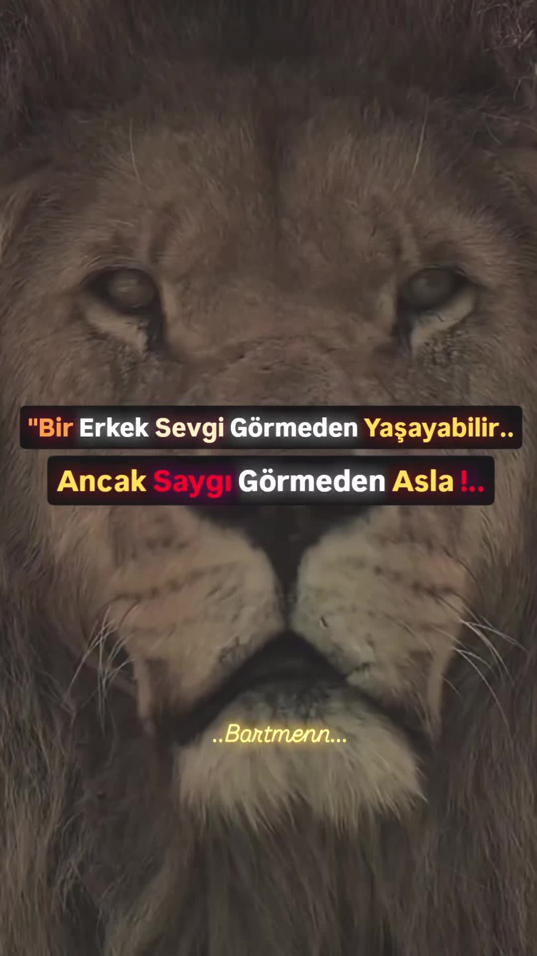 @Bartmenn